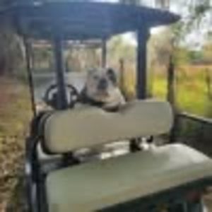 Meet your Posher, Debbie